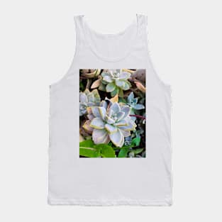 Succulent Tank Top